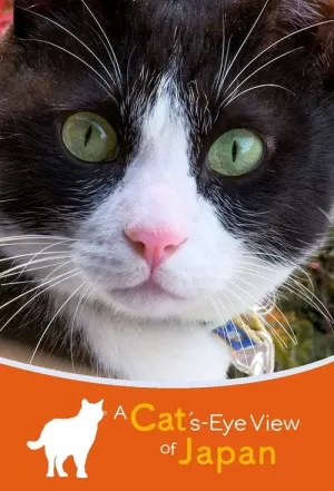 《A Cat's-Eye View of Japan》海报