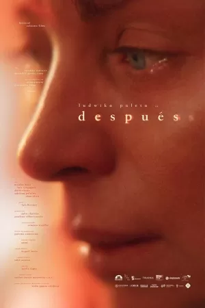 《Después》海报
