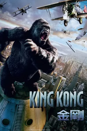 《金刚》海报