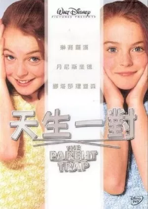 《天生一对》海报